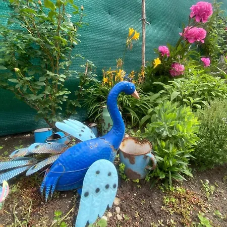 Doma Na Lipniku-private Country House, Lipnik (Mlada Boleslav)