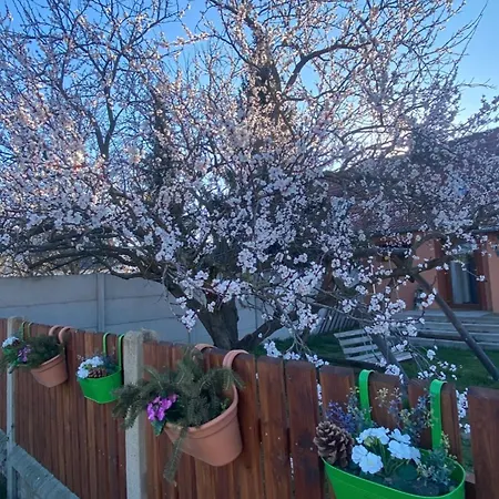 Doma Na Lipniku-private Country House, Feriehus *