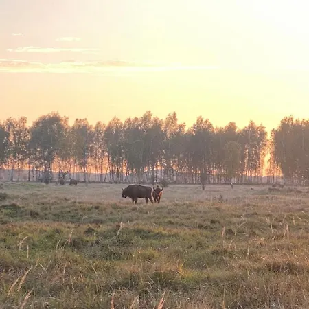 Doma Na Lipniku-private Country House, بيت للعطل *