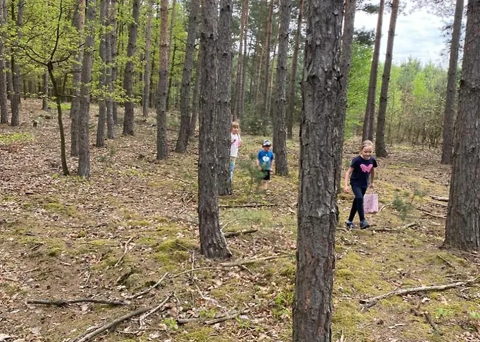 بيت للعطل Doma Na Lipniku-private Country House, *